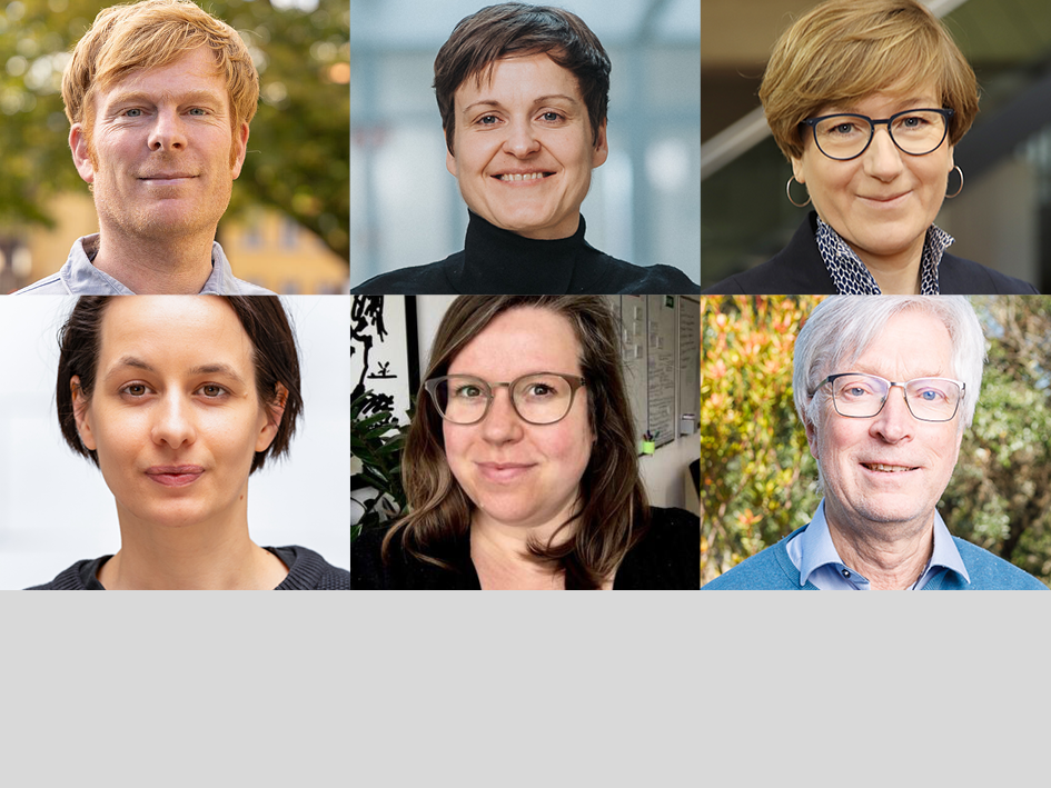 Publizieren im Umbruch: Zwischen Reform und Neuordnung