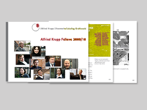 Bericht zum Studienjahr 2009/2010