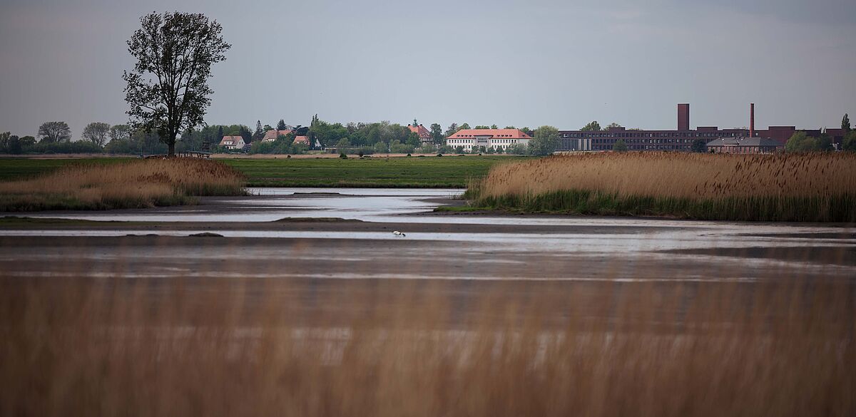 Alfried Krupp Wissenschaftskolleg Greifswald Alfried Krupp