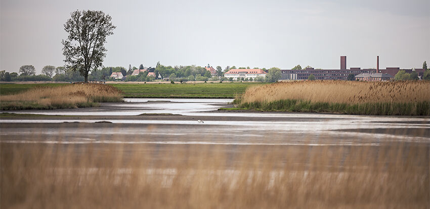 Rurality as potential for tourism, environment and innovation